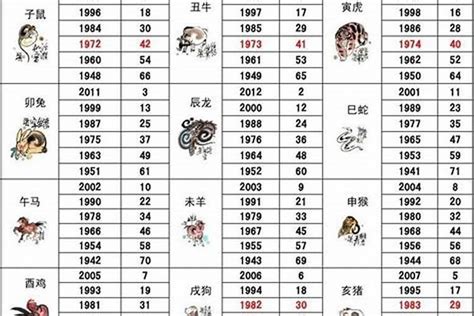 2014年生肖|2014年属相是什么生肖 2014年出生的属什么